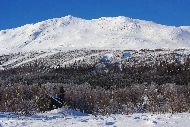 Kittelfjäll